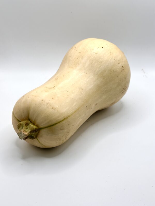 Butternut