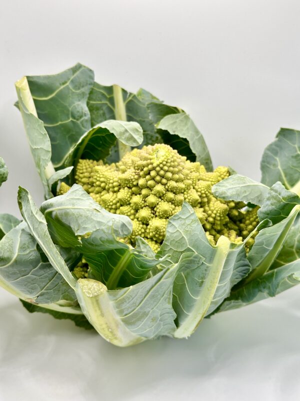 Chou Romanesco