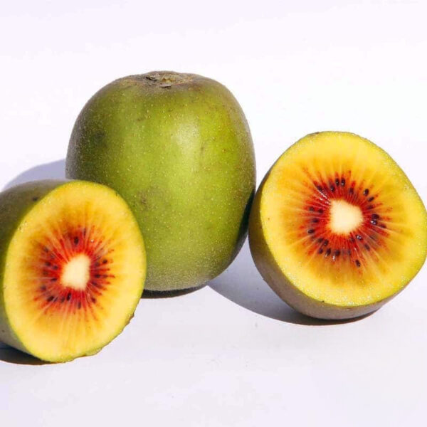 Kiwi rouge