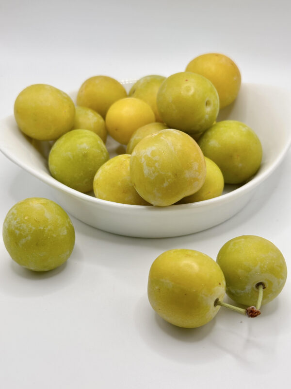 Mirabelle