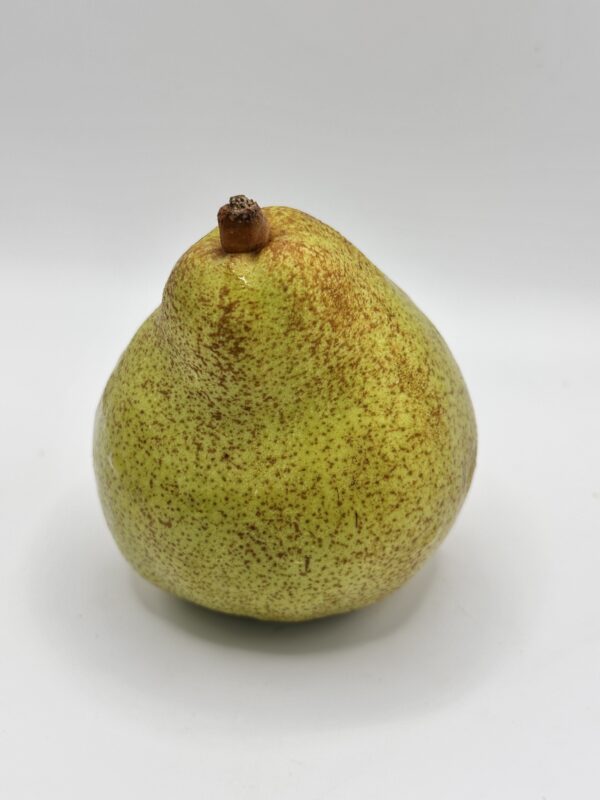 Poire Comice