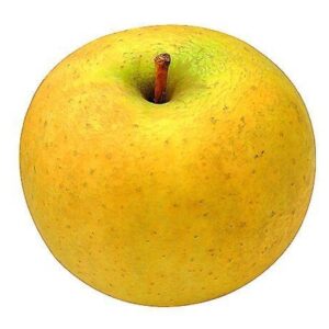 Pomme Godrush