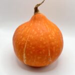 Légumes