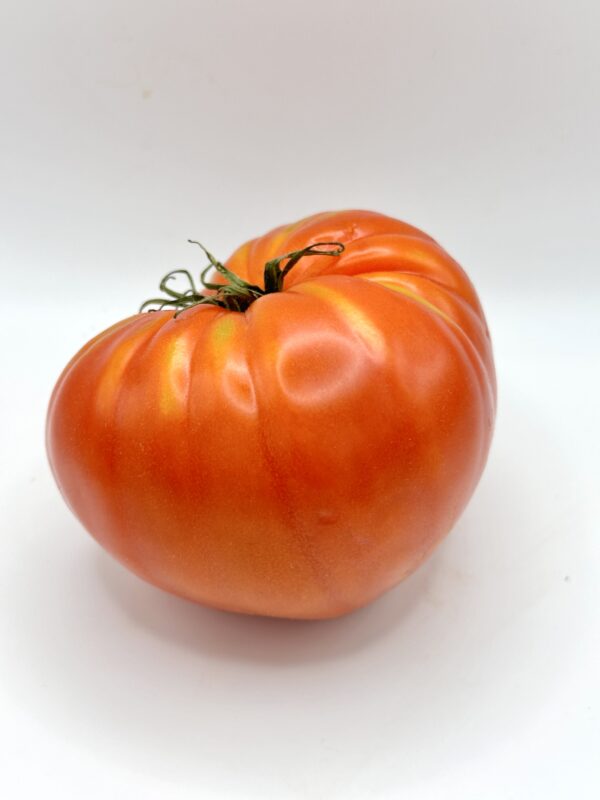 tomate cœur de bœuf