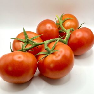 tomate grappe