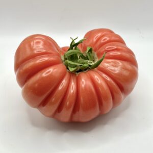 tomate rose de berne