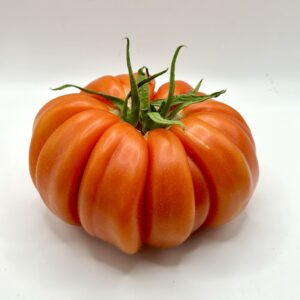 tomate marbonne