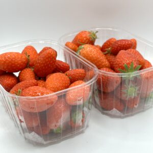 fraise ciflorette lot de 2