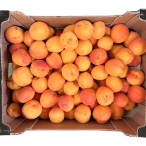 abricots colis de 5kg