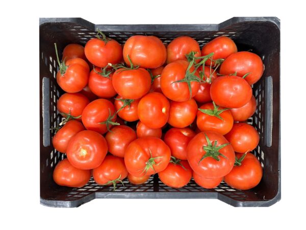 colis 6kg tomates