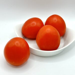 tomate roma bio