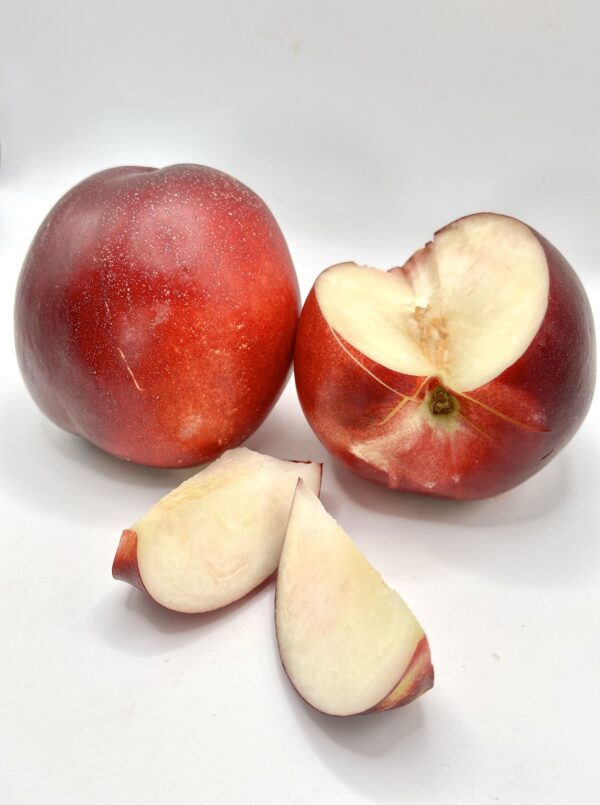 nectarine blanche