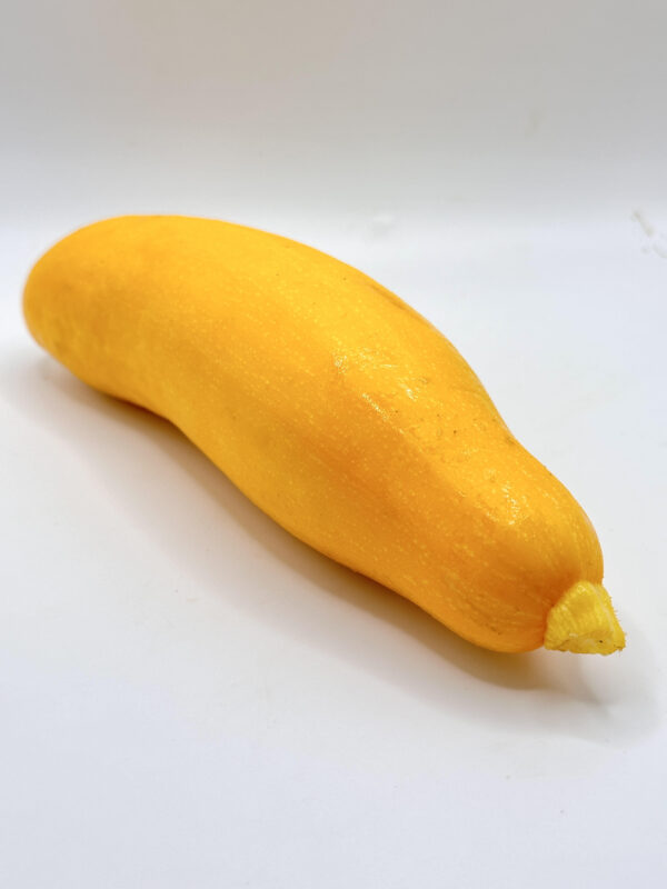 courgette jaune