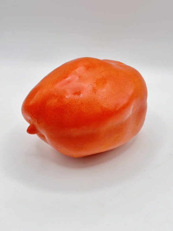 Tomate cornue