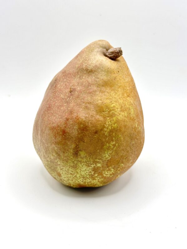 Poire bio Comice