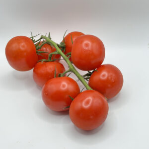 Tomates Cocktail