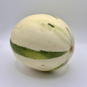 Melon œuf de dinosaure