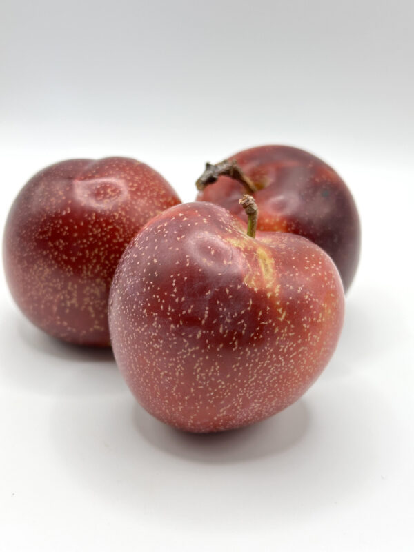 Prune Tasty Sweet