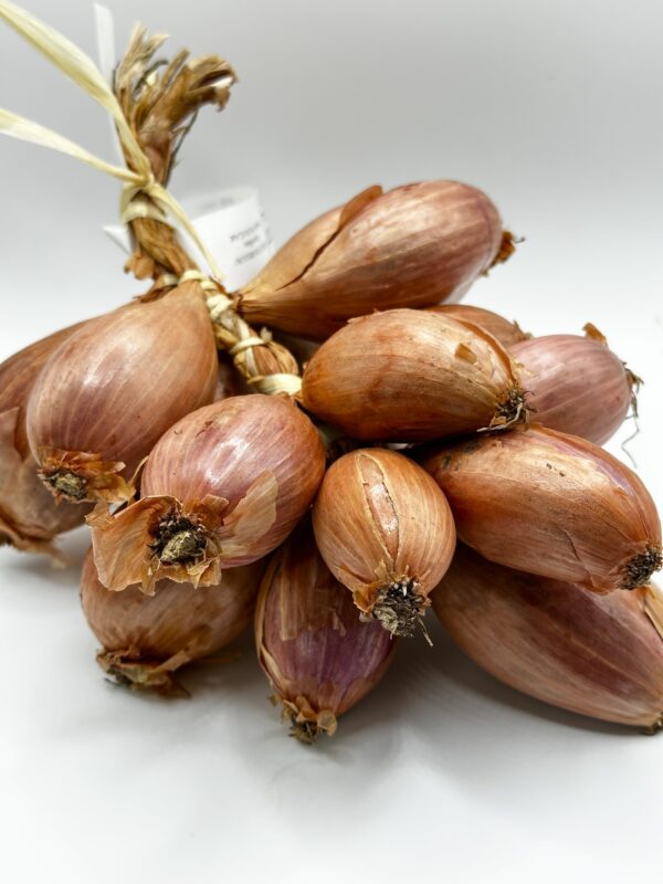 Tresse échalottes