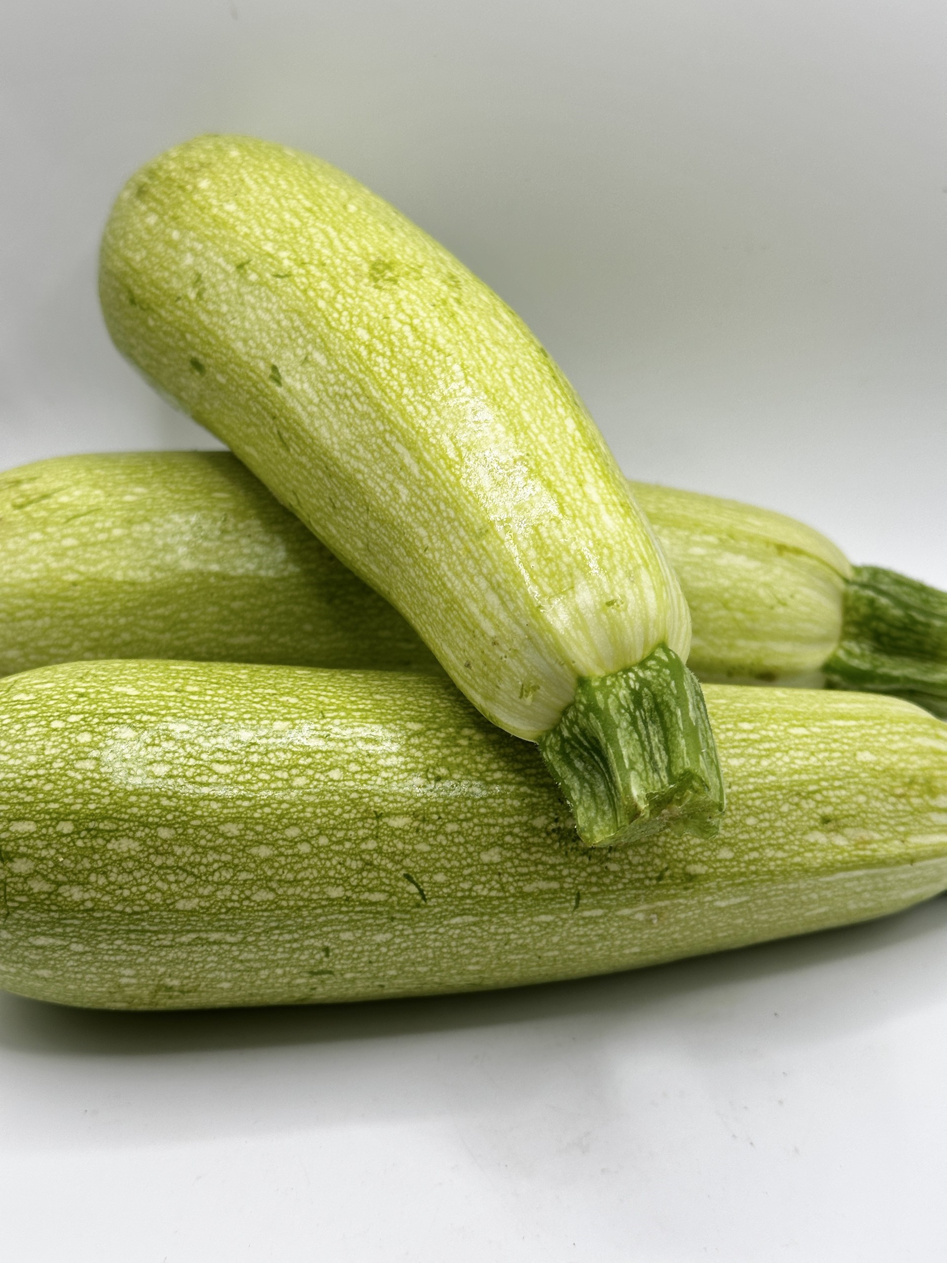 Courgette blanche Courgette blanche