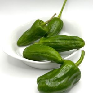 Poivron de Padron